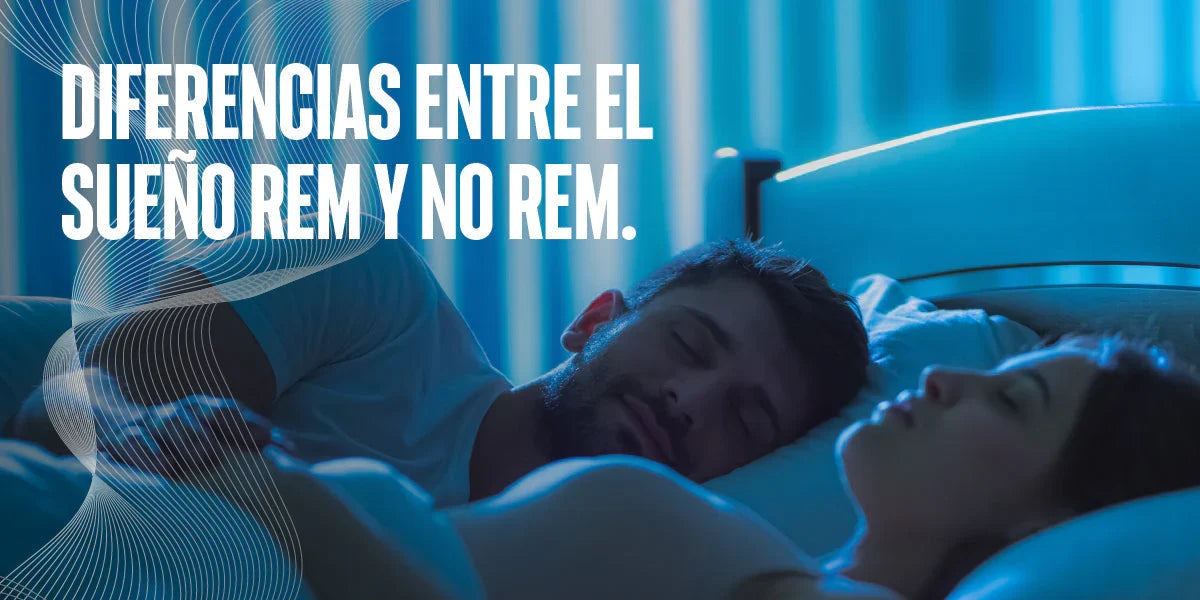 Diferencias entre el sueño REM y no REM