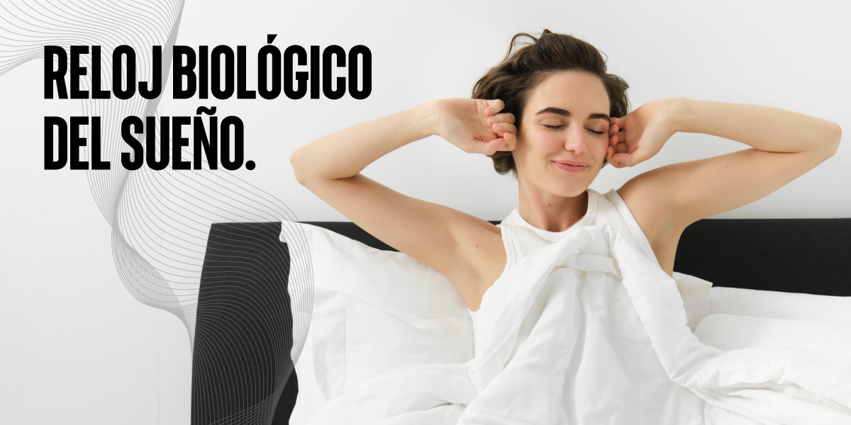 Reloj Biológico del Sueño