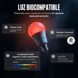 Kit de Luz Roja para el Hogar 3 en 1